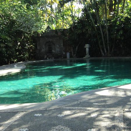 Villa Bhuana Alit Ubud Kültér fotó