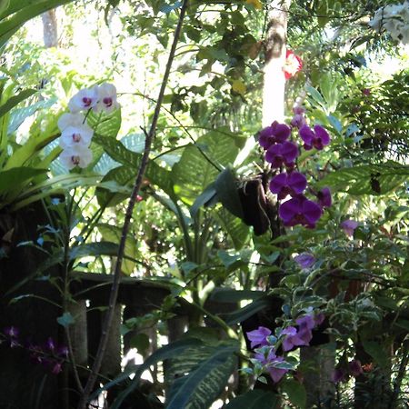 Villa Bhuana Alit Ubud Kültér fotó