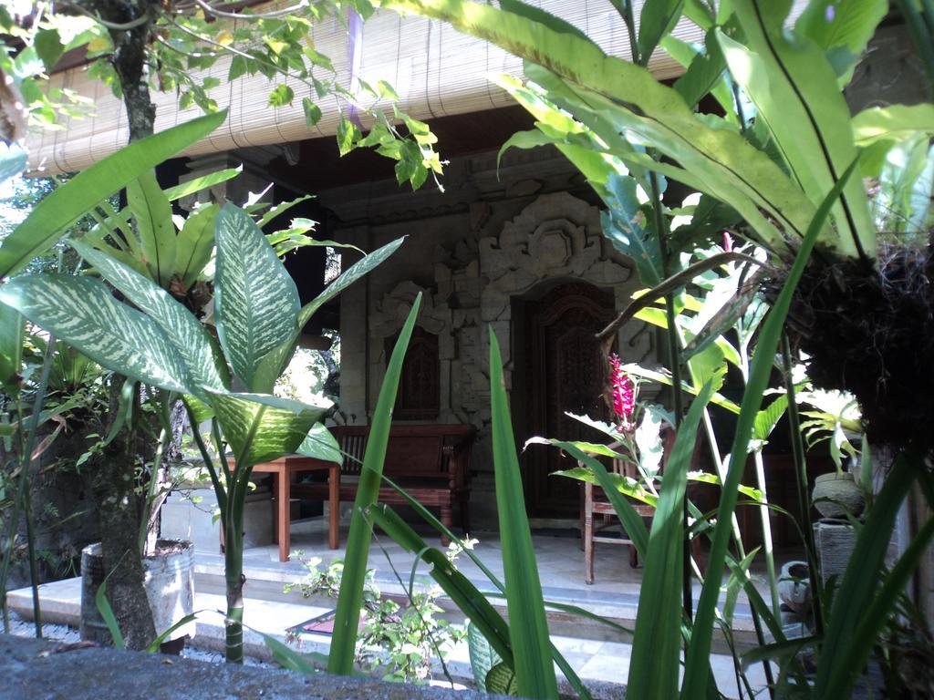 Villa Bhuana Alit Ubud Kültér fotó