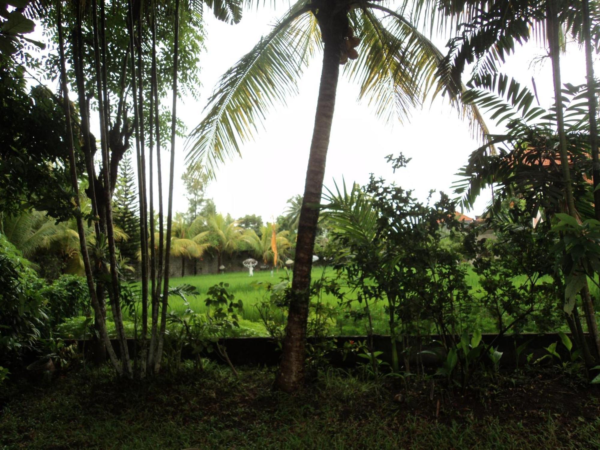 Villa Bhuana Alit Ubud Szoba fotó