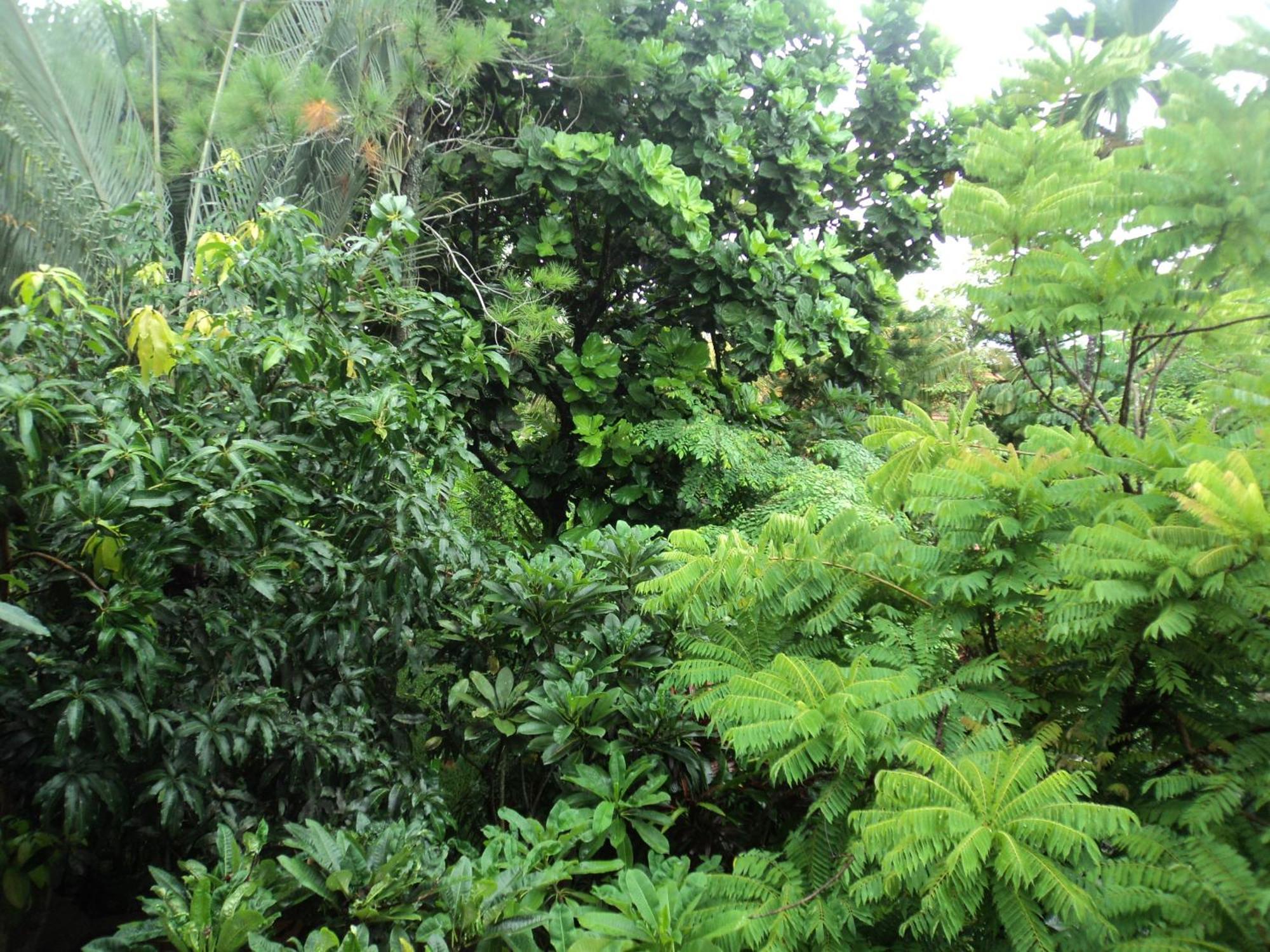 Villa Bhuana Alit Ubud Szoba fotó