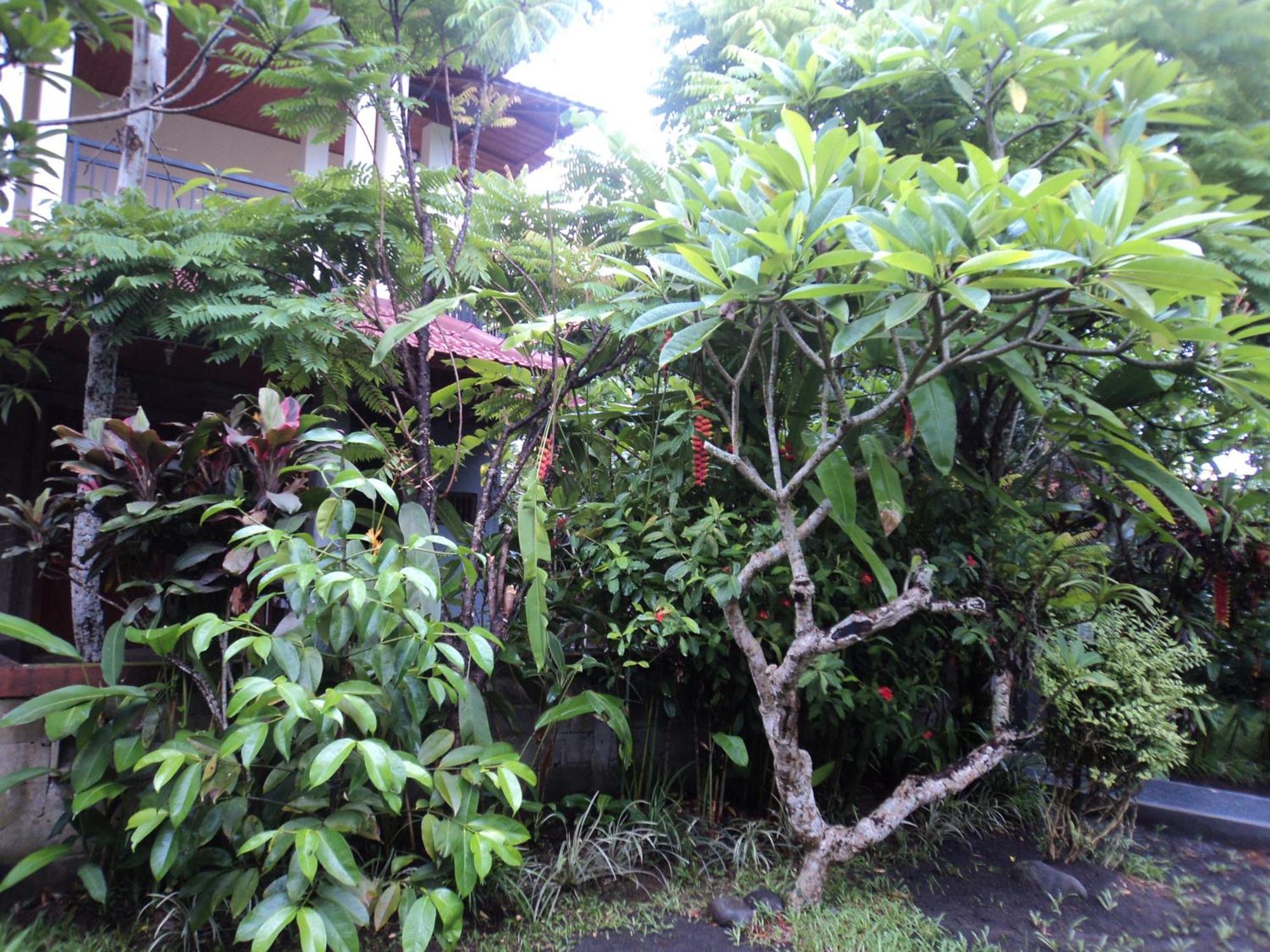 Villa Bhuana Alit Ubud Szoba fotó