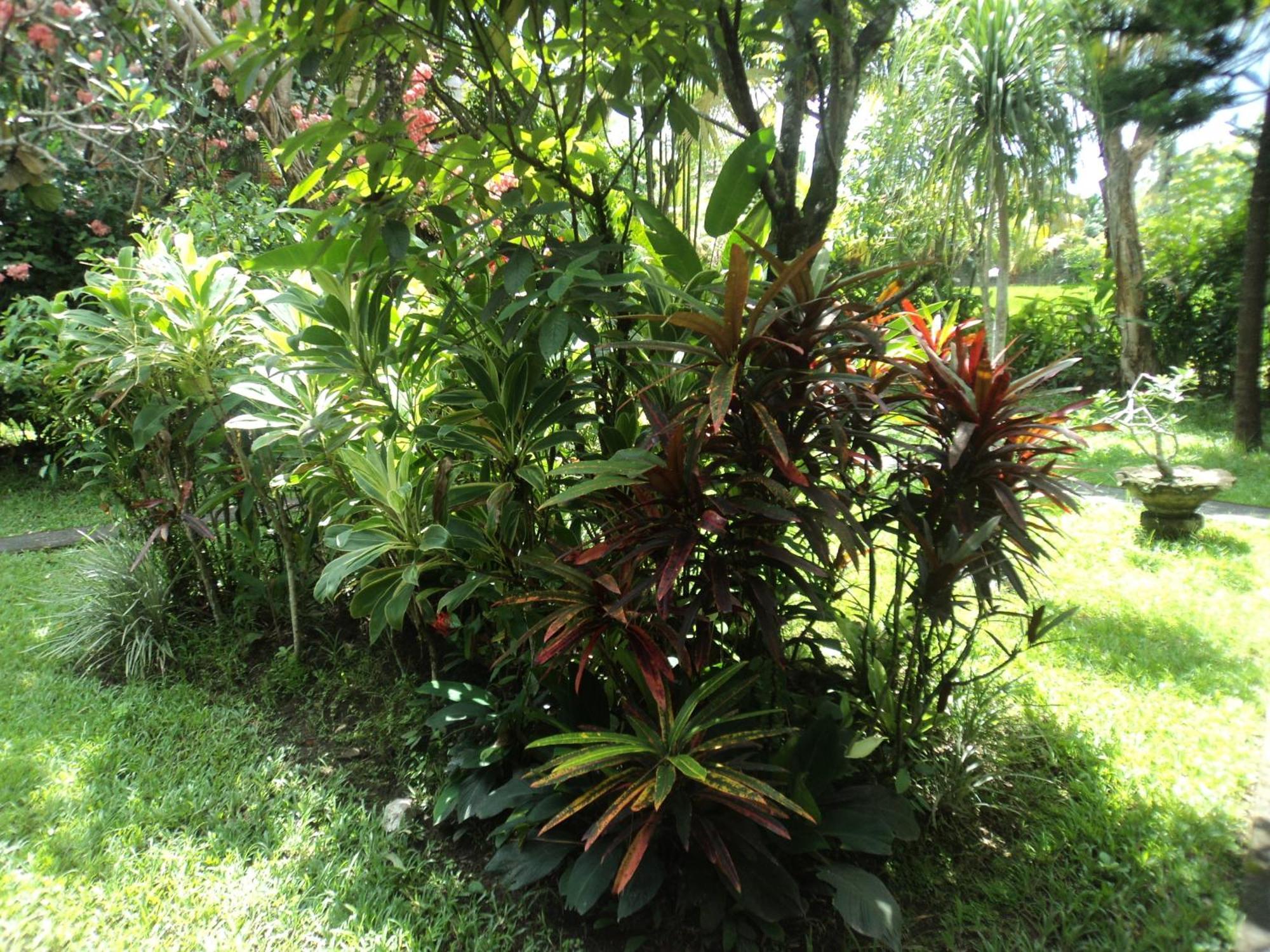 Villa Bhuana Alit Ubud Szoba fotó