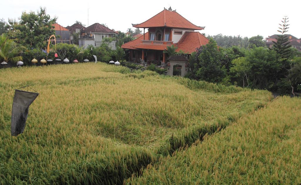 Villa Bhuana Alit Ubud Kültér fotó