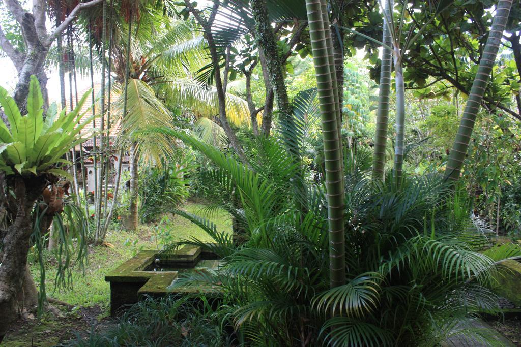 Villa Bhuana Alit Ubud Kültér fotó